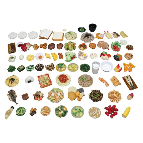 イワイサンプル 食品交換表に基づいた調理交換モデル75品セット25241901 SKM-75S(75シナ) 1組(75入) 25241901（直送品）