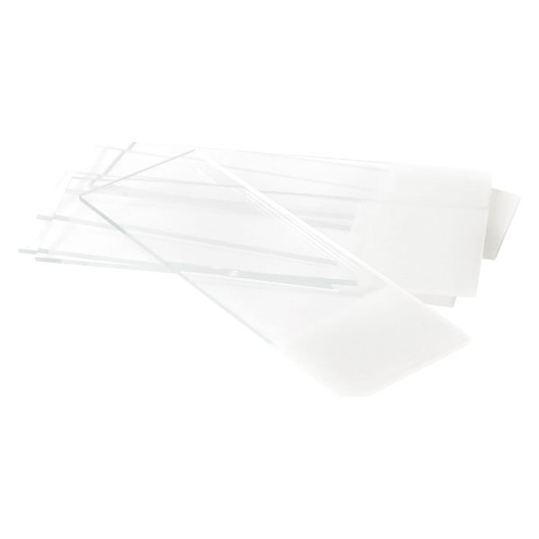 レオナ フロストスライドグラス(縁磨) 25610500 0313-2101(100マイ) 1箱(100入)（直送品）