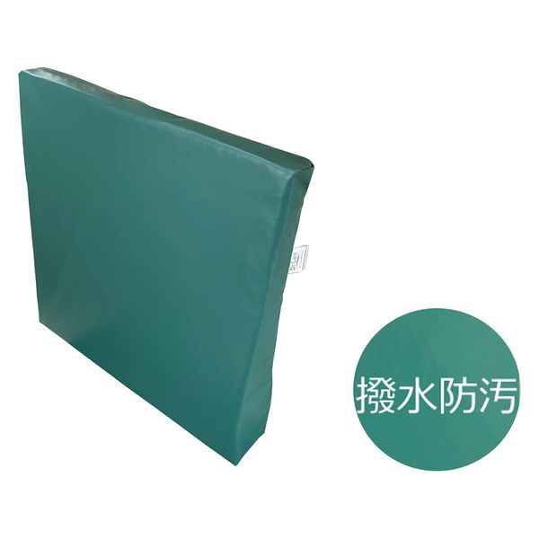 グローバル産業 ドクターケアバックピーン 清拭タイプ 25475603 DC-HP-BPN(ライムグリーン) 1個（直送品）