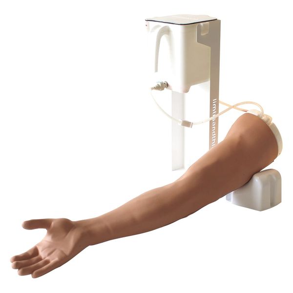 Limbs & Things 静脈穿刺トレーナー(ベーシック) 25553700 170304 1台（直送品）