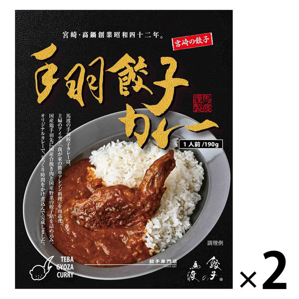 未開封 鳩羽つぐ　ガレージキット 東2-6] 小野ミサ ガレージキット | ちかつくっ