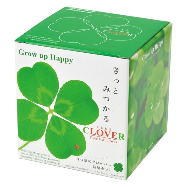 国産希少/4つ葉のｸﾛｰﾊﾞｰ/ﾏｽｶｹﾊﾝﾄﾞのｸﾛｰﾊﾞｰ/幸せを運ぶp697