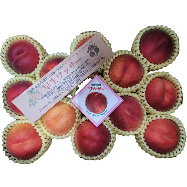 64 早生ワッサー家庭用3キロ2箱 生産農家直送 早生ワッサー ご家庭用 3kg 長野県産 化学肥料不