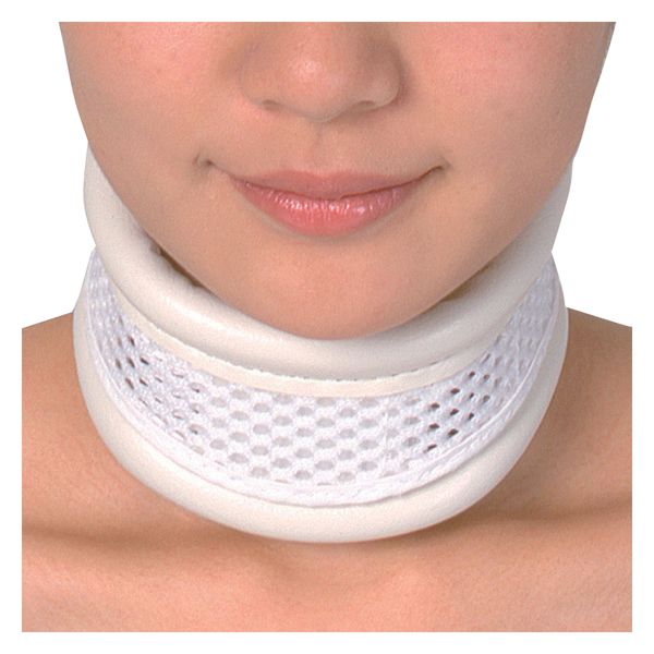 竹虎 ドルフハード2号 035032(S) 1個（直送品）