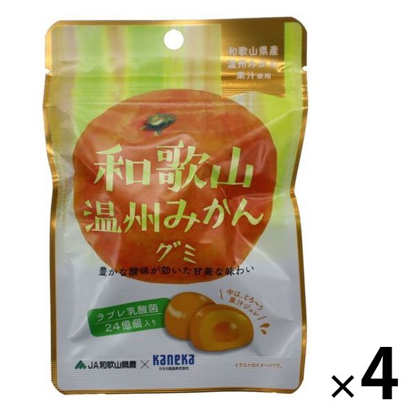 和歌山温州みかんグミラブレ乳酸菌入 グミ ご当地 1セット（1個×4） カネカ食品 - アスクル