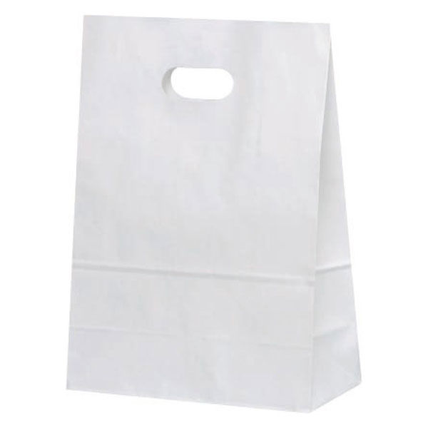 パックタケヤマ イーグリップ L 白無地 XZT52013 1包(50枚)（直送品）