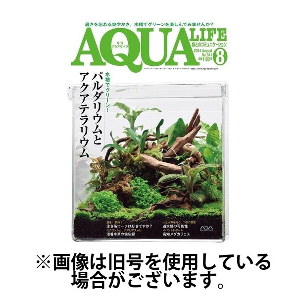 アクアライフ 2024/11/11発売号から1年(12冊)（直送品） - アスクル