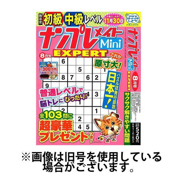 ナンプレメイトMini EXPERT（エキスパート） 2024/11/02発売号から1年(6冊)（直送品） - アスクル