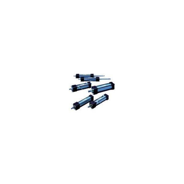 TAIYO 油圧シリンダ 160H-1R1TA32BB100-ACAH2 1個 594-5992（直送品）