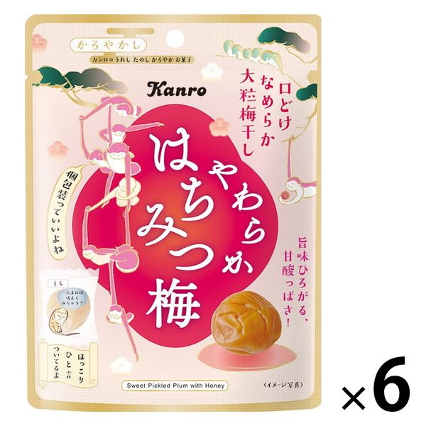 【セール 登場から人気沸騰】 enherb完熟梅のはちみつ 110gx6個 （ハーブ専門店「enherb その他