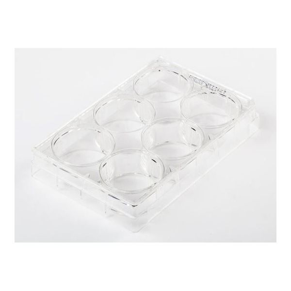 Fisherbrand 細胞培養マルチディッシュ 6ウェル 1枚×100枚入 FB012927 1セット(100枚)（直送品）