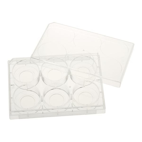 CELLTREAT 蓋付きの6ウェル組織培養プレート 20mm ガラス底 個別 滅菌 5バック入 229107 1バック（直送品）
