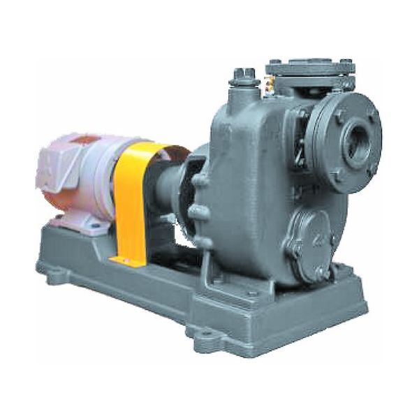 寺田ポンプ製作所 寺田 セルプラポンプ 鋳鉄製ペアーポンプ P-4E 60HZ 1台 444-5003（直送品）