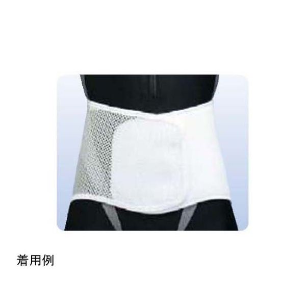 アシスト プロガードライト・メッシュ(プラスチックステイ) LL 09927 1本 68-4058-19（直送品）