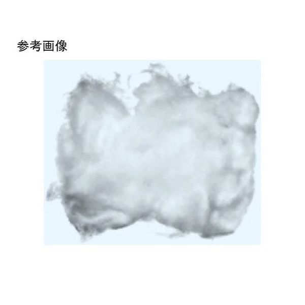 日本理化学器械 ガラスウール 10~12μm 1箱(500g入) GRW-10500 1箱 68-4131-21（直送品）