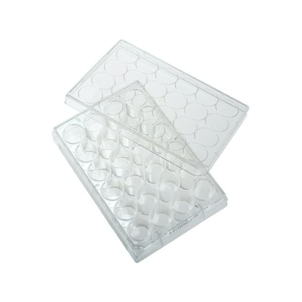 朝日ラボ交易 未処理プレート(24ウェル、平ら底) 100枚入り 229524 1箱(100枚) 65-3677-31（直送品）