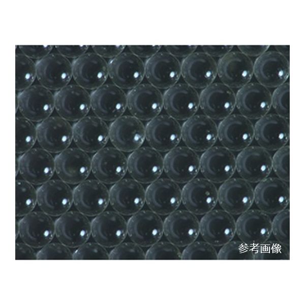 ユニチカ 高精度ガラスビーズ 10g φ600μm SPL-600 1本 65-2785-43（直送品）