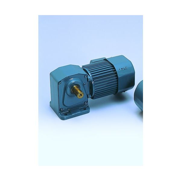 シグマー技研 シグマー 高効率IE3、直行中空軸三相750W脚取付形ギアモーター 減速比1/80 TMHL-08E-80 1台（直送品）