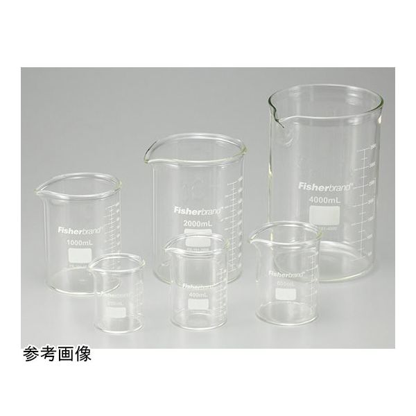 ウィザーライフサイエンス 厚手ビーカー 250mL FB-101-250 1個 65-4338-97（直送品）