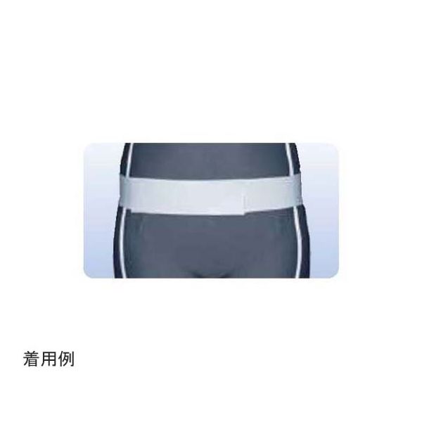 アシスト 万能ゴムベルト ホワイト SS 02544 1本 68-4061-38（直送品）