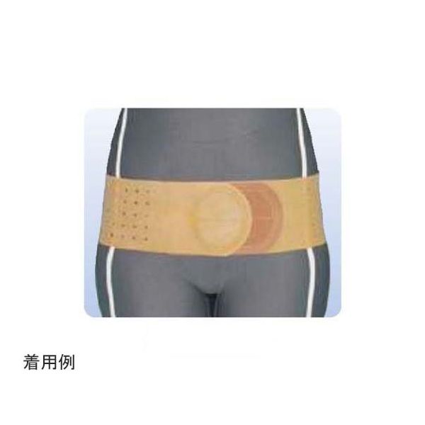 アシスト デラックス骨盤ベルト ブラウン LL 01682 1本 68-4060-30（直送品）
