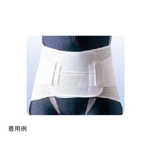 アシスト ハードデラックス・メッシュ 3L 00794 1本 68-4057-51（直送品）