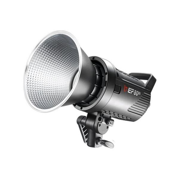 サンテック LEDライト EFー80BI J105 1個 67-7235-53（直送品）