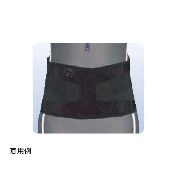 アシスト ガードメッシュA ブラック LL 01103 1本 68-4057-88（直送品）