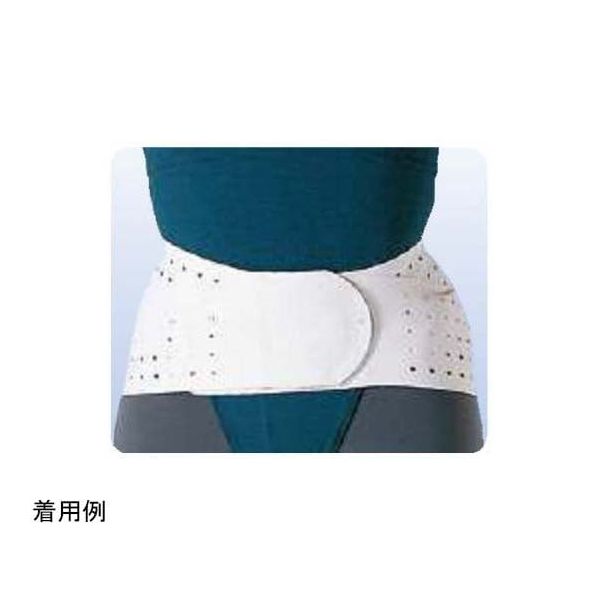 アシスト プラスウエスト(R)・ラバー S 00100 1本 68-4059-45（直送品）