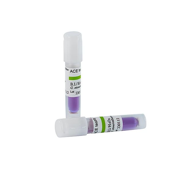 バイオロジカルインジケーター(エーステスト)セルフコンテインド型 過酸化水素滅菌 1箱(100本入) H3725T 1箱(100本)（直送品）