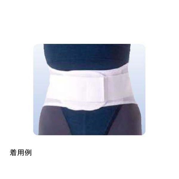 アシスト ウエストサポート(Nパッケージ) M 01667 1本 68-4058-85（直送品）