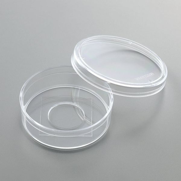 マツナミ ガラスボトムディッシュ 1箱(30個入) D910400 1箱(1個) 66-0024-02（直送品）