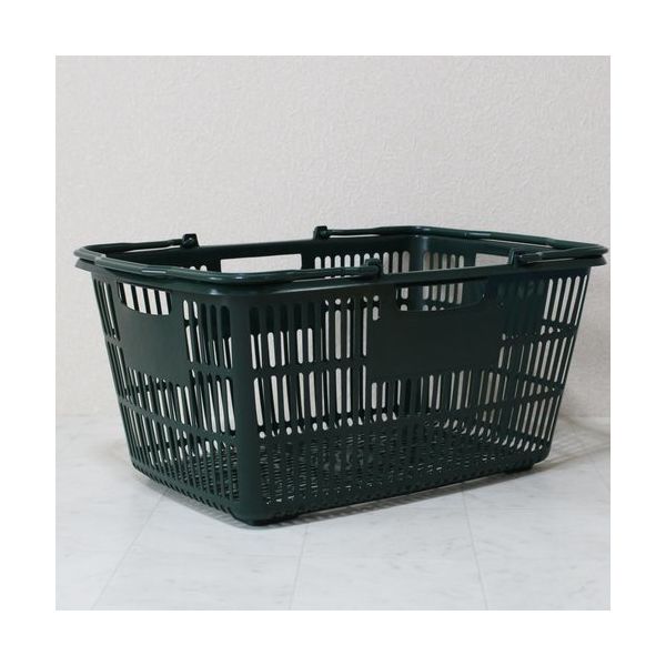 大和産業 買い物かご SBー33 エバーグリーン 10個セット SB-33-EGR-10P 1セット(10個) 538-1875（直送品）