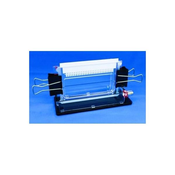 バイオクラフト ワイドミニ冷却スラブ電気泳動装置 シングル BE-250G 1台 65-9539-72（直送品）