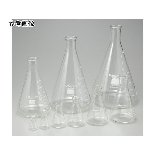 ウィザーライフサイエンス 三角フラスコ 4000mL FB-500-4000 1個 65-4339-11（直送品）