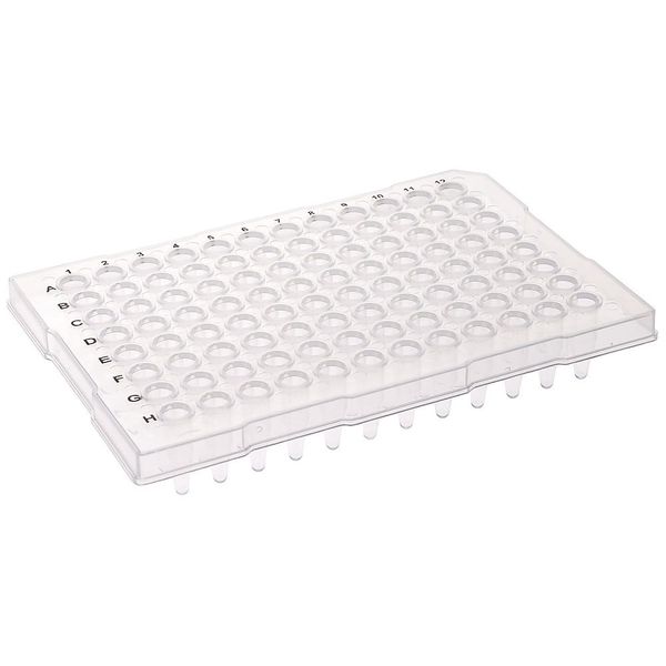 CELLTREAT 96ウェルPCRプレート レイズドハーフスカート クリア 0.2mL 非滅菌 1箱(50個入) 229516 1個（直送品）