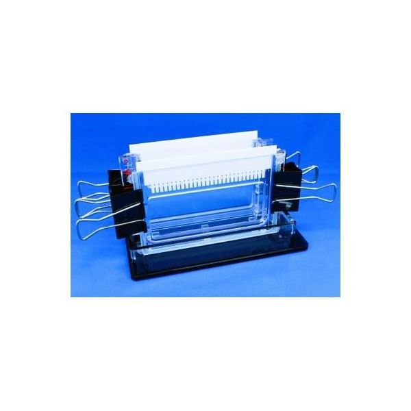 バイオクラフト ワイドミニ冷却スラブ電気泳動装置 ツイン BE-260G 1台 65-9539-73（直送品）