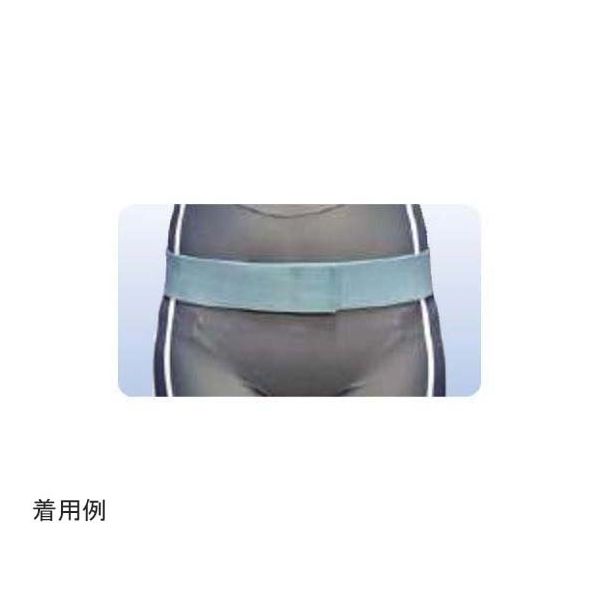 アシスト 万能ゴムベルト ブルー L 02553 1本 68-4061-46（直送品）