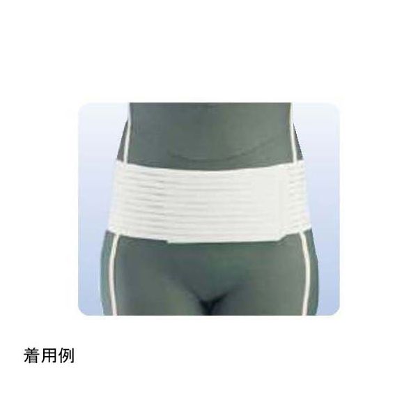 アシスト プラスウエスト(R)・メッシュ LL 17824 1本 68-4059-36（直送品）