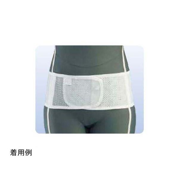 アシスト プロスリム・メッシュ アルミステイ L 09920 1本 68-4059-17（直送品）