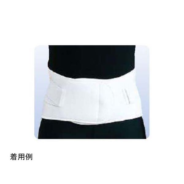 アシスト スレンダーガード ソフト 3L 00753 1本 68-4058-70（直送品）