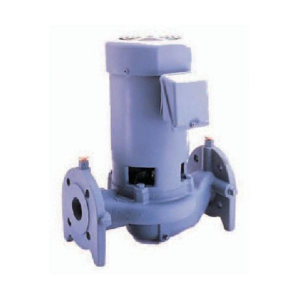 寺田ポンプ製作所 寺田 ラインポンプ 0.25kw 60Hz LV1-60.25 1台 850-8994（直送品）