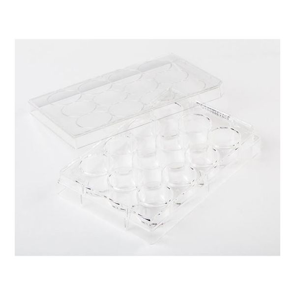 Fisherbrand 細胞培養マルチディッシュ 12ウェル 1枚×100枚入 FB012928 1セット(100枚)（直送品）