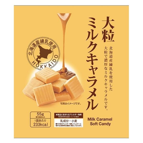 日邦製菓 日邦 大粒ミルクキャラメル 55gx12 4902137201045 1