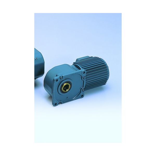 シグマー技研 シグマー 高効率IE3、直行中空軸三相750Wフランジ取付形ギアモーター 減速比1/40 TMHF-08E-40 1台（直送品）