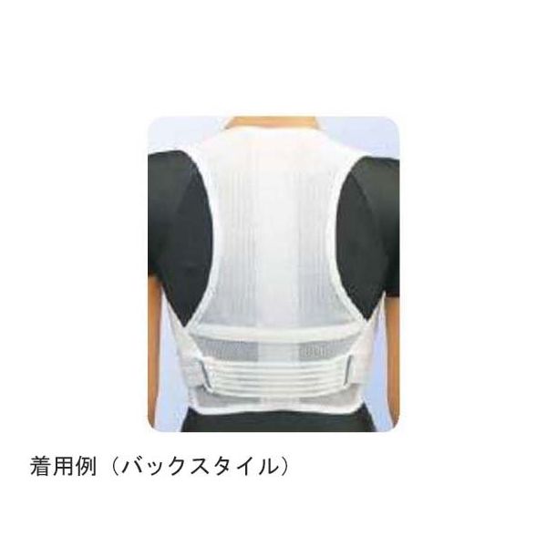 アシスト 背筋すっきりベルトワイドメッシュ(パッド付) M 00391 1本 68-4061-78（直送品）