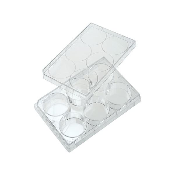 朝日ラボ交易 未処理プレート(6ウェル、平ら底) 100枚入り 229506 1箱(100枚) 65-3677-29（直送品）