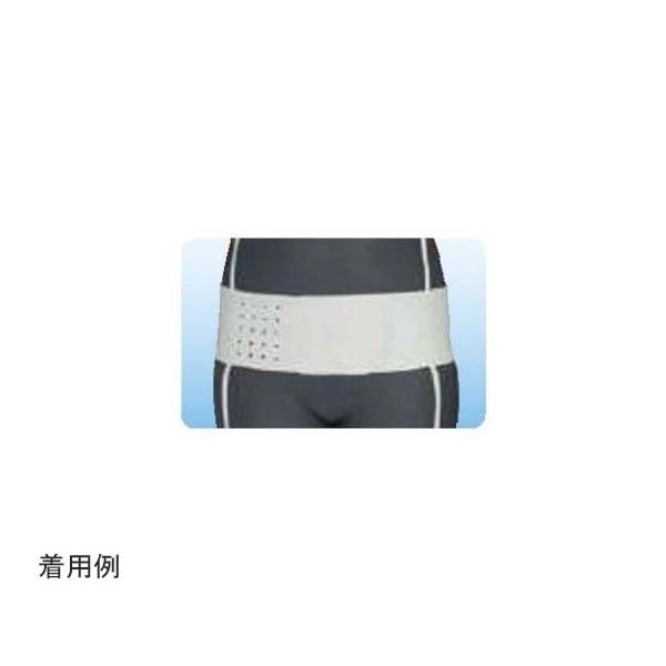 アシスト 丸型骨盤バンド ホワイト LL 18312 1本 68-4060-02（直送品）