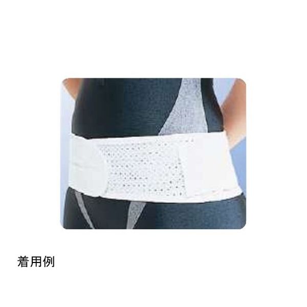 アシスト ツインベルト LL 00313 1本 68-4059-54（直送品）