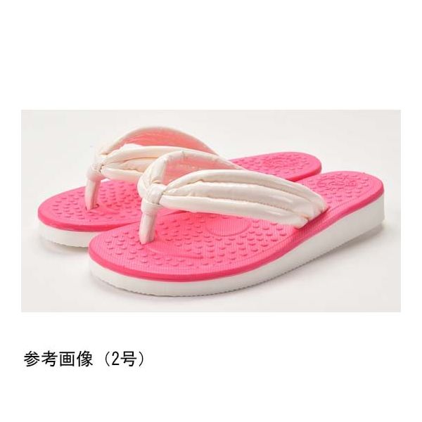 ラッキーベル はなおくんはなおちゃん ピンク 4号 67-8175-95 1足（直送品）